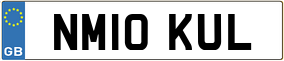 Trailer License Plate